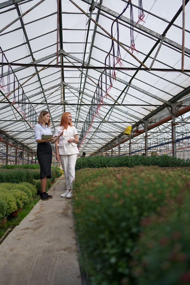 cabinet de recrutement bordeaux ess economie sociale solidaire cooperative agricole